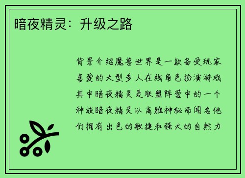 暗夜精灵：升级之路